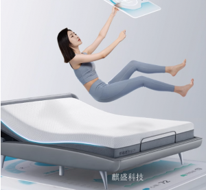 产品图片：家具企业麒盛科技智能家居产品名称《AI智能床》议价