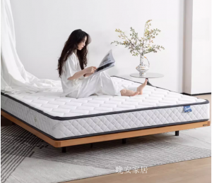 产品图片：家具企业晚安家居客卧家具产品名称《弹簧床垫软硬两用》议价