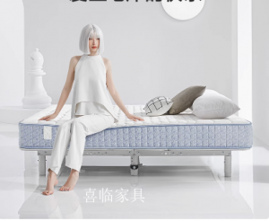 产品图片：家具企业喜临门智能家居产品名称《智能高端软床》议价