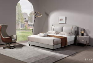 产品图片：家具企业乐其家私客卧家具产品名称《FJC002软床》议价