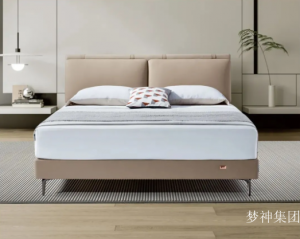 产品图片：家具企业梦神集团客卧家具产品名称《比翼床》议价